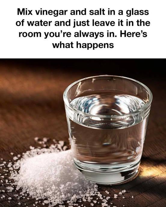 1f81aea36b4f043ad7 copy 758x416 6 1 taha 2 taha taha 2 15 1