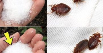 380826282 612464641093147 5990232114814968411 n