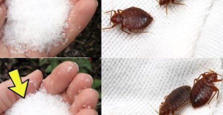 380826282 612464641093147 5990232114814968411 n