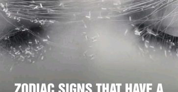 455bd162 7083 4dad bac7 bbe8ec0a3a61