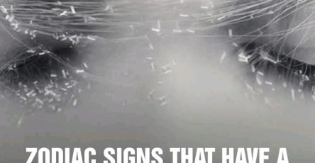 455bd162 7083 4dad bac7 bbe8ec0a3a61