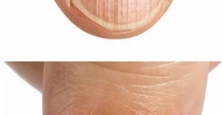 473741020 1131832115009369 1273079944707240984 n