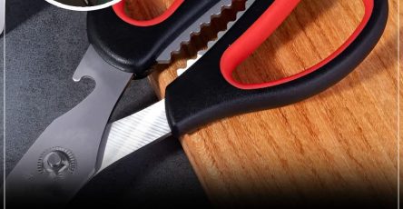 474507320 619112683856501 3511099920454572433 n