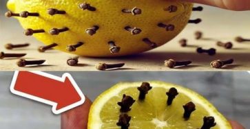 479684401 638083052125257 490487701727813118 n