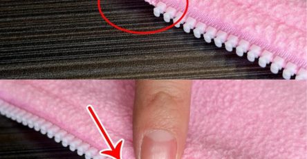 4H1USWauKgpcR2Ljz3rJS7aFos38YBLA6qc8tE7n