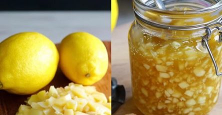 506607377 122161458422493940 2373257892206981576 n 1 1 1 1 2 1 1 1 1 1 1 1 1 1 1 1 1 1 1 1 1 1 2 1 1 1 1 1 1 1 2 1 1 1 1 1 1 1 1 1 40