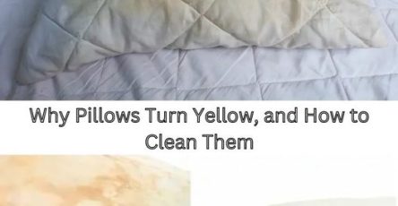 552ed98e8ac16d4195e00efa8fc83cc7