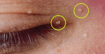 554964643 2032317564205752 8711923400030815527 n