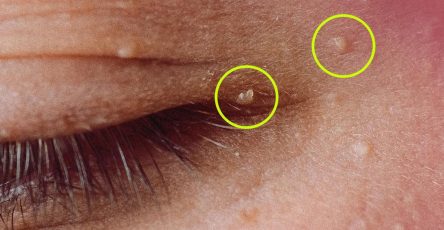 554964643 2032317564205752 8711923400030815527 n