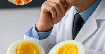 555108901 724742033935573 5808791121882357057 n