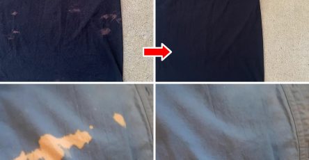 556088381 1257264899771415 1501855389116726036 n