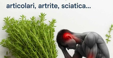 574327608 804400972570276 3376318536758515719 n