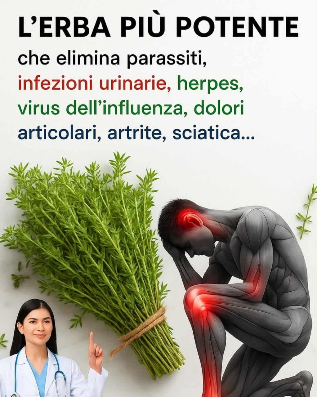 574327608 804400972570276 3376318536758515719 n