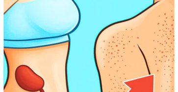 587277213 1284572753702788 4829471122542529704 n