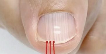 596932598 830719396603622 7057372111821138551 n