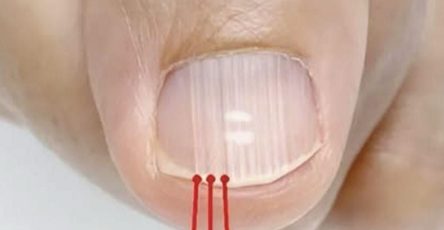 596932598 830719396603622 7057372111821138551 n