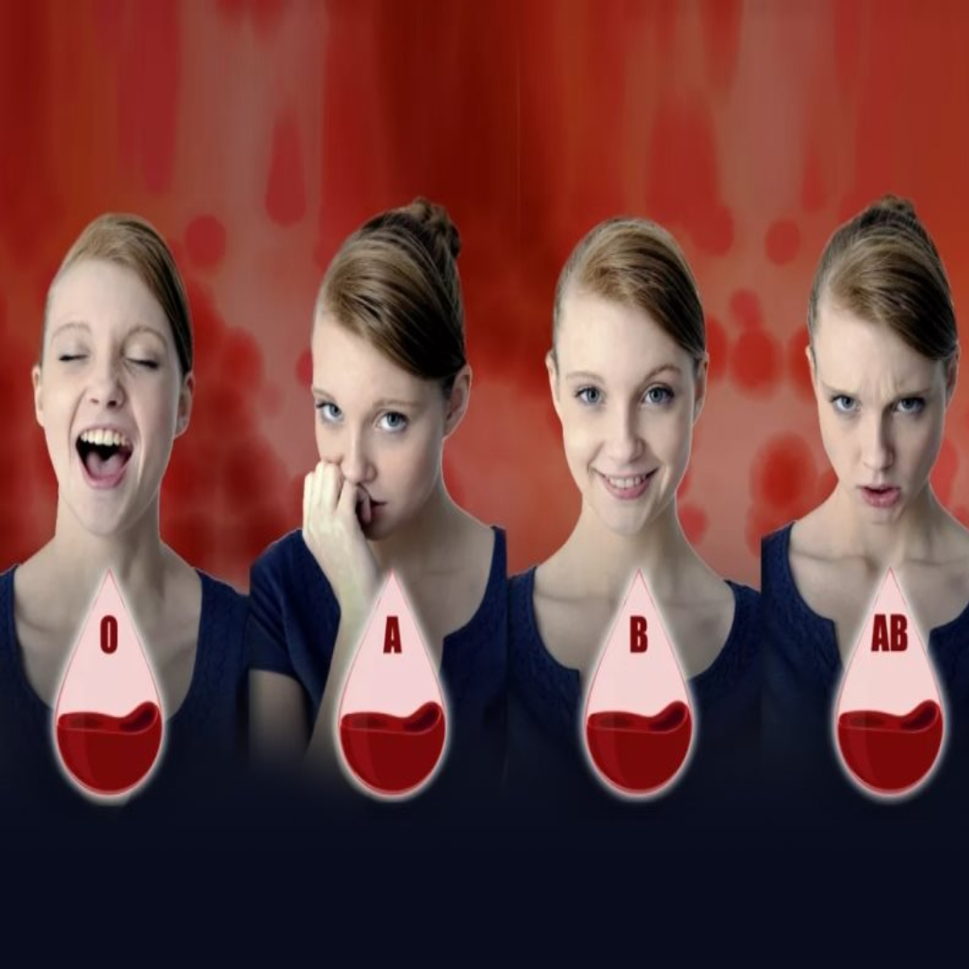 605134289 1169487108693053 285919248724009099 n