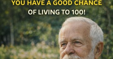 611966427 1438480984337263 7669476289026889270 n