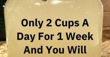 618376204 2024011481792070 4252299870672939054 n