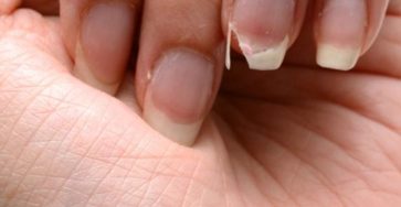 622598423 122161026560886959 2284308424373132902 n