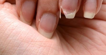 622598423 122161026560886959 2284308424373132902 n