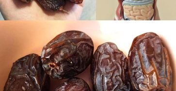 626949356 880332961468932 568039299567130067 n