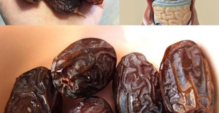 626949356 880332961468932 568039299567130067 n