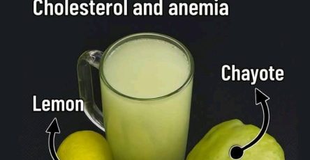 627545632 2089186974986963 5138122382459940934 n