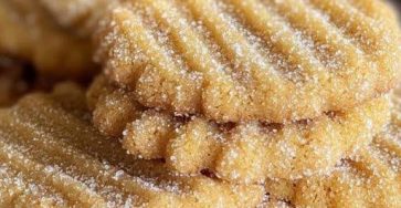 631057751 883228004609352 9017051158304641804 n