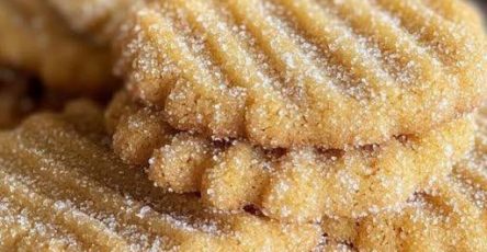 631057751 883228004609352 9017051158304641804 n