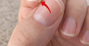 631559749 879684275040954 7827835953765961078 n