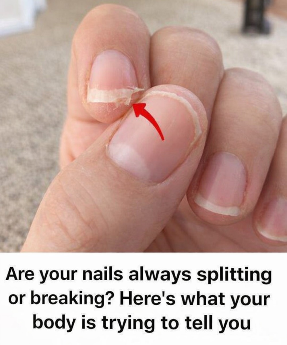 631559749 879684275040954 7827835953765961078 n