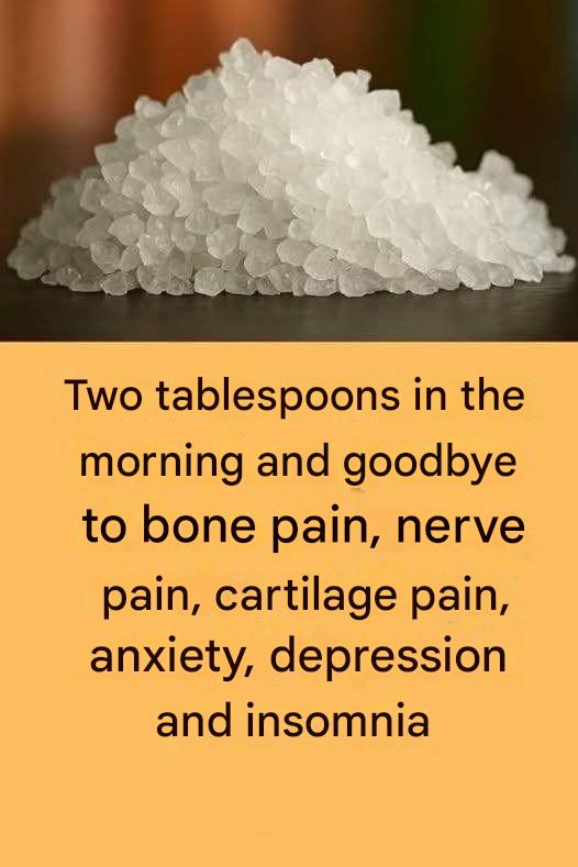 633842332 2034476267410430 1353554334638653654 n