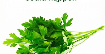 634757934 1337416195089619 3162910483605589849 n