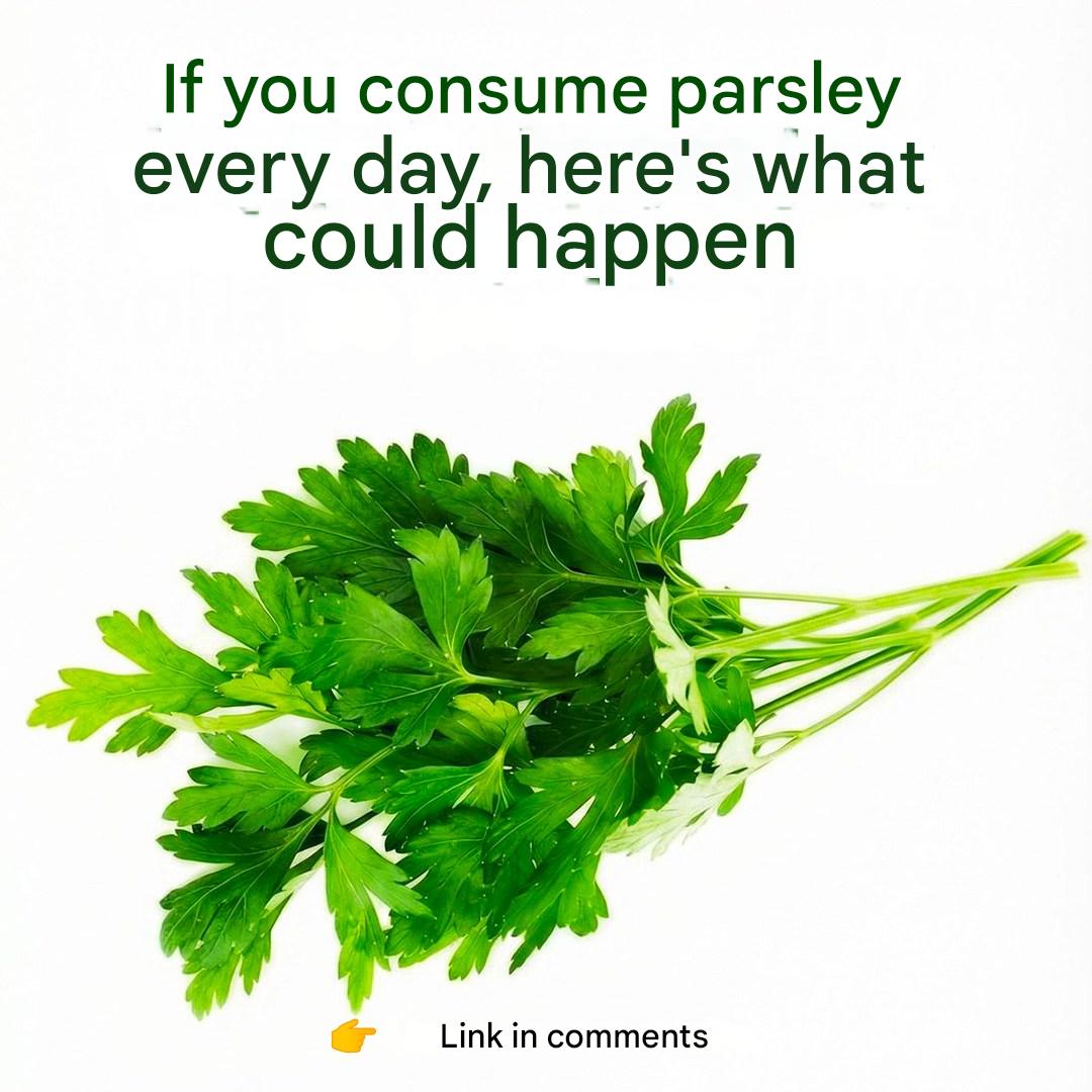 634757934 1337416195089619 3162910483605589849 n