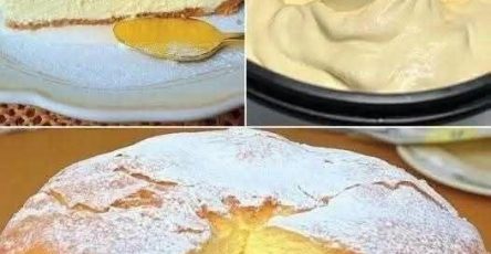 638040806 1565278034528625 159584026138506336 n