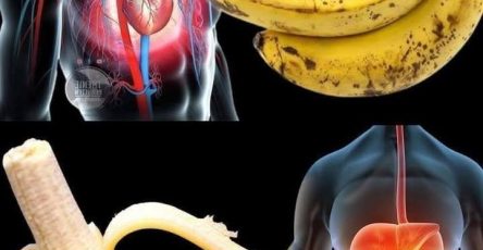 639935263 966059749327342 2305849249921131531 n