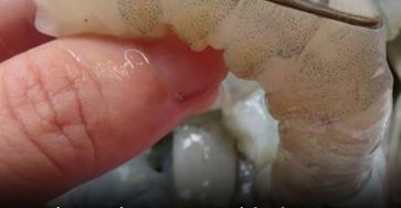 6eb7c968 3ac5 46ff 8d4f 8837c68d8659