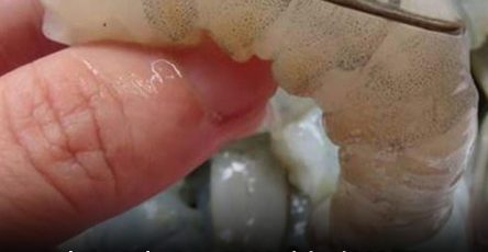 6eb7c968 3ac5 46ff 8d4f 8837c68d8659