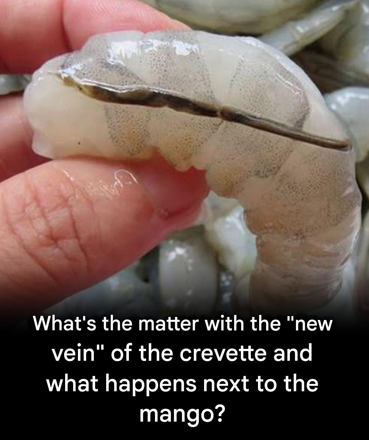 6eb7c968 3ac5 46ff 8d4f 8837c68d8659