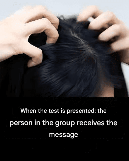 Ac897e5b d875 4146 8354 f22a64dd017e