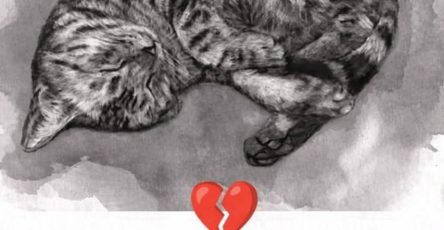 Photo 2026 02 18 14 01