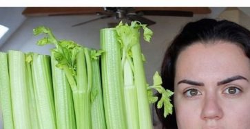 Photo 2026 02 22 14 07