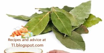 Photo 2026 02 23 19 58