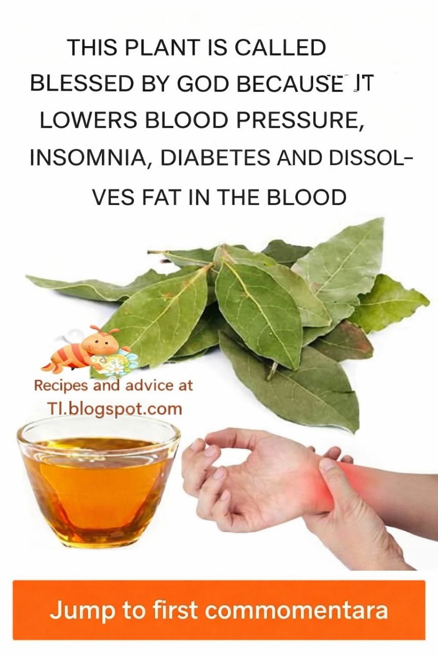 Photo 2026 02 23 19 58