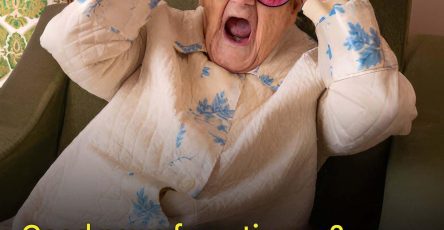 0b2edc2a c494 4d34 9606 5b43066e89da