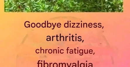 18c900a2 7ea7 4d50 858d acda26416a2c.jpg