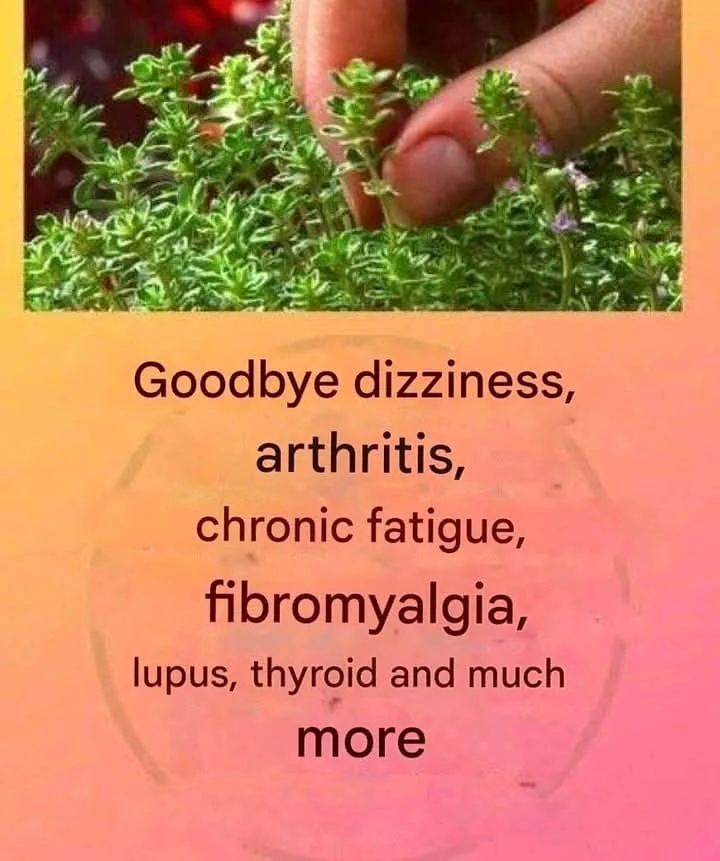 18c900a2 7ea7 4d50 858d acda26416a2c.jpg