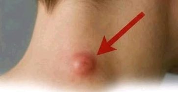 30a80625 c47b 4c86 8876 e906d6e9532d