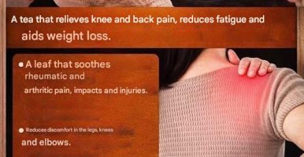 340860aa f276 4eba ae3c 40ba6313adcb